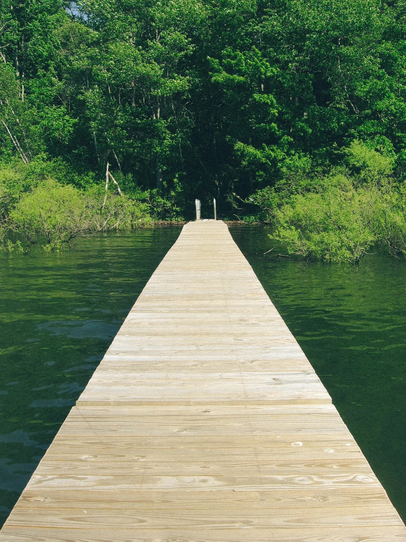 An empty wooden pier leading into a lake surrounded by trees
